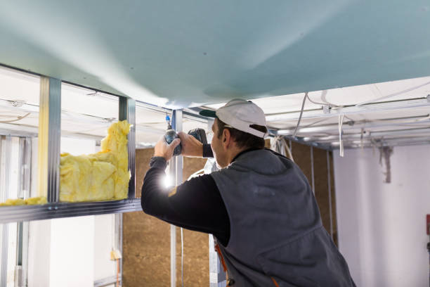 Best Spray Foam Insulation  in Springville, VA